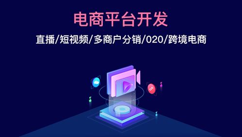 商联达详解 电商平台定制开发的前景怎么样