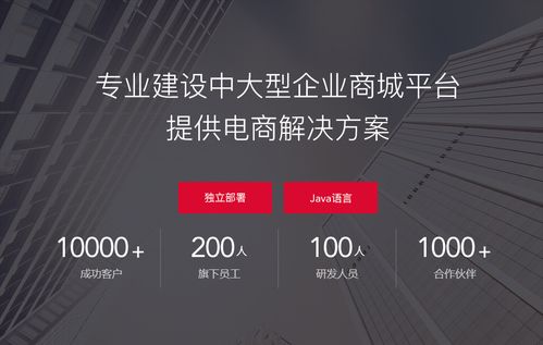 商城系统 小程序商城开发公司哪家好 从这6点判断