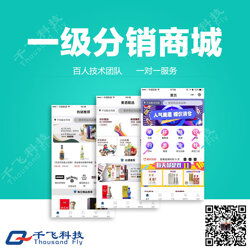 手机app商城系统开发 肇庆商城系统开发 千飞多年经验