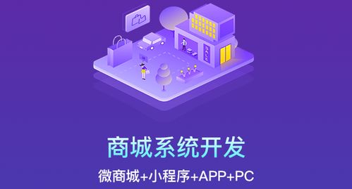 商联达科普 商城系统开发方式怎么选择