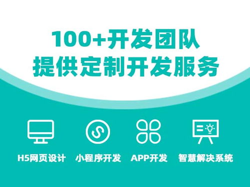 惠州与郴州商城系统开发公司选择指南