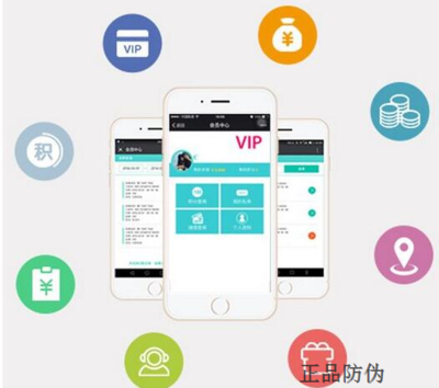 积分兑换商城系统 提升复购率的开发策略与实践